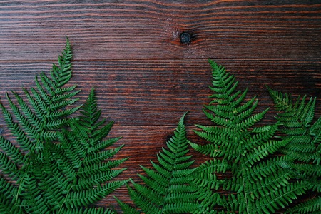 Green fern leaves on a brown wooden backgroundの写真素材