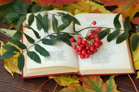 Book with rowan and autumn leaves on the tableの写真素材