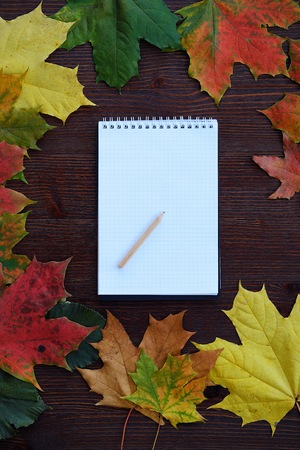 Autumn background with colored leaves and notepadの写真素材