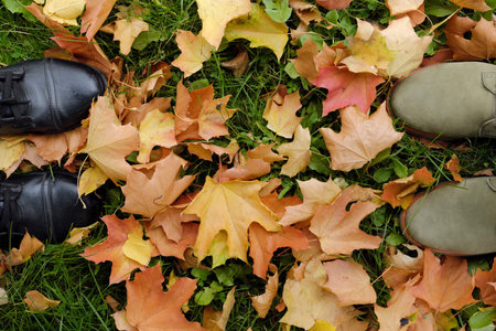 Beautiful shoes in the park with autumn leavesの写真素材