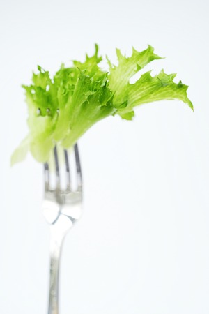 Fresh green lettuce on a fork for dietの写真素材