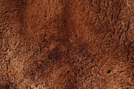 Beautiful redhead fur Rex rabbit for clothing