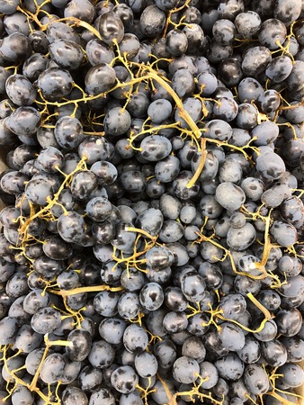Fresh purple grapes in a box in the marketの写真素材