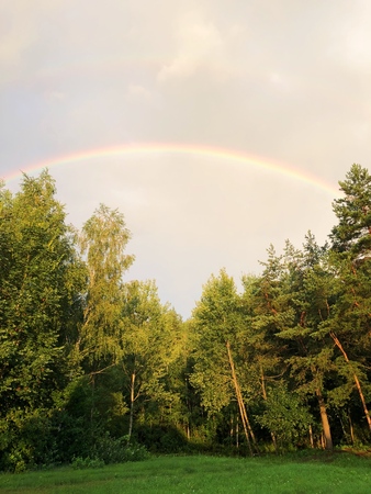 Beautiful rainbow in the summer in the woodsの写真素材