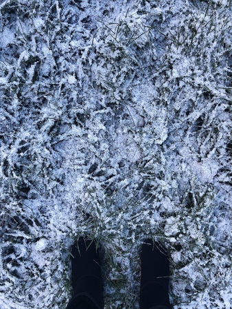 Green grass and boots in winter viewの写真素材