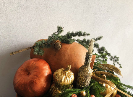 Beautiful composition of pumpkins and Christmas tree
