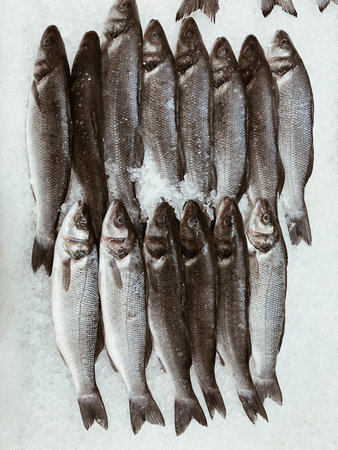 Fresh fish in ice