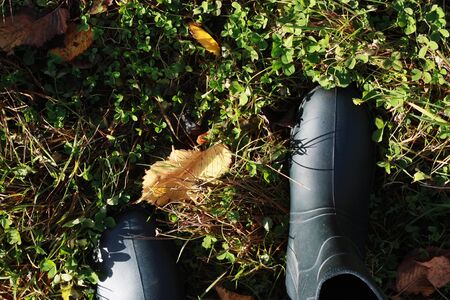 Feet in rubber boots in the forestの写真素材