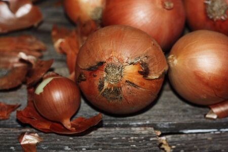 Fresh onions on a wooden table macroの写真素材