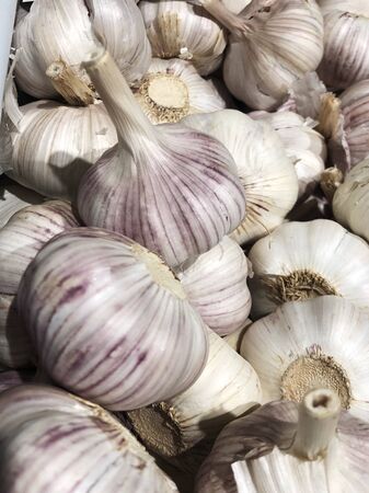 Fresh garlic on the market close upの写真素材