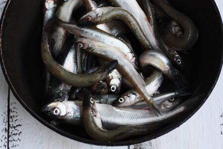 Fresh fish in the pan close upの写真素材