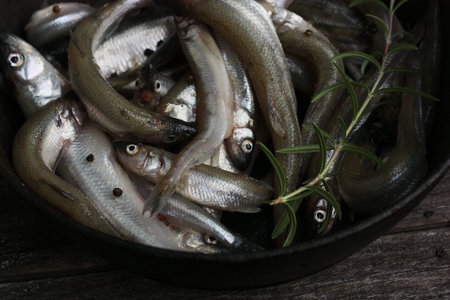 Fresh fish and rosemary in the pan