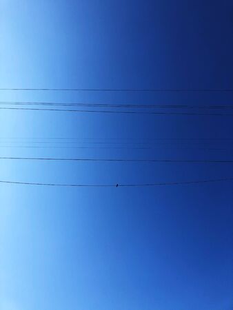 Beautiful view of the blue sky and birds on the wireの写真素材