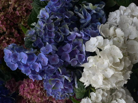 Colorful hydrangea flowers in a floral wedding arrangement.