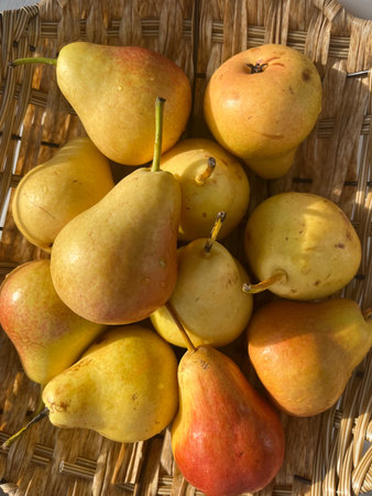 Ripe yellow pears in a basket on a wooden background.
