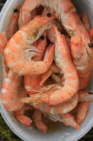 Boiled shrimps in a bucket, closeup of photoの写真素材