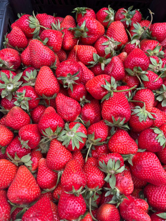 Fresh strawberries on display at a farmers market in Paris, France.の写真素材