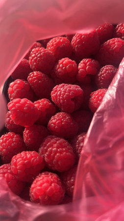 Raspberries in a plastic bag, close-up, macroの写真素材