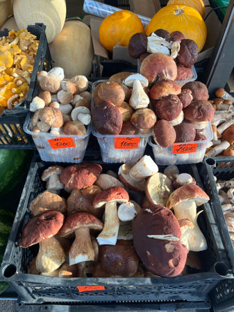 Mushrooms on display in a farmers market in Italy, Europeの写真素材