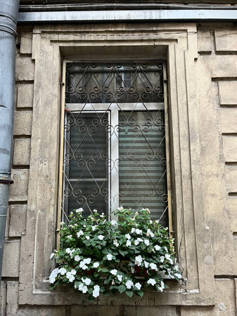 Window with flowers on the facade of an old house in Lviv, Ukraine