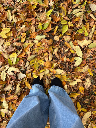 Selfie of man's legs in blue jeans and sneakers on fallen autumn leaves