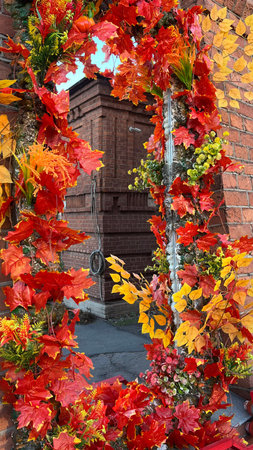 Autumn leaves on a wall in the old town of Wroclaw, Polandの写真素材