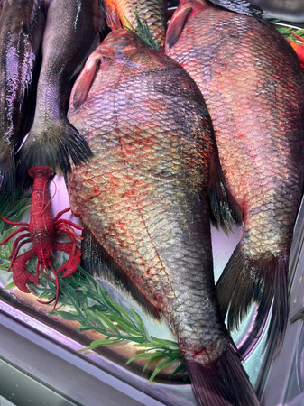 Fresh fish on display in a fish market, closeup of photo