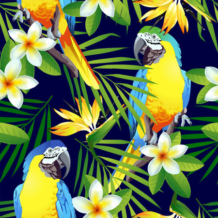 Tropical birds. Colorful parrots and exotic flowers. Vector.のイラスト素材