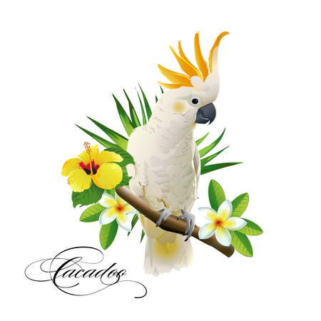 Parrot cockatoo on the tropical branches with leaves and flowers on white background. Vector illustration.のイラスト素材