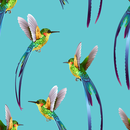 Beautiful hummingbirds pattern.のイラスト素材