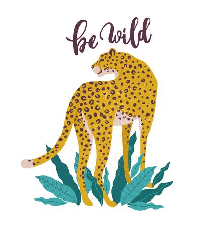 Be Wild slogan. Leopard. Typography graphic print, fashion drawing for t-shirts. Vector stickers, print, patches vintage.のイラスト素材