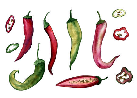 Red hot chili set. Hand drawing watercolor. Can be used for postcards, stickers, encyclopedias, menus, ingredients of dishes. Style design for the label, cover, prints for some surfaces.の写真素材
