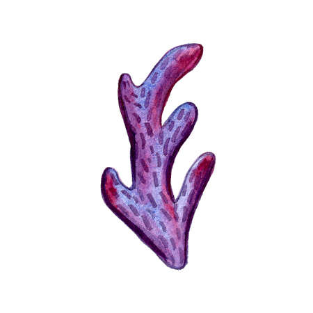 Hand paint watercolor coral sea ocean icon set design scrap book paper, textile, web sitesの写真素材