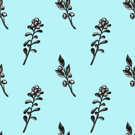 Hand drawn set with bilberries.Forest berry. Eco food illustration Isolated on whiteの写真素材