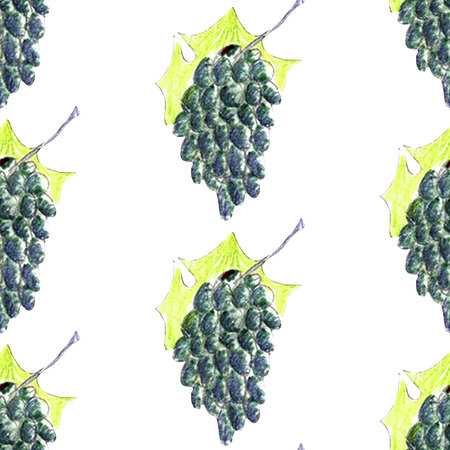 Watercolor seamless pattern with red apples, full and halves isolated on white backgroundの写真素材