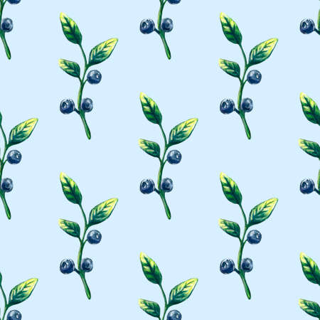 Watercolor blueberries isolated on white. Hand drawn illustration. Vintage style.の写真素材