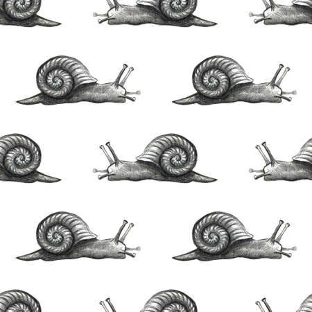 Cute snail cartoon Set of funny ethnic drawings. Drawing by hand, pencil, watercolor wash.の写真素材