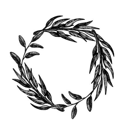 Collection of highly detailed hand drawn leaves isolated on white backgroundの写真素材