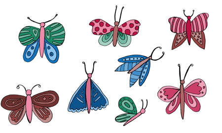 Beautiful colorful butterfly isolated on a white background. Hand drawing sketchのイラスト素材