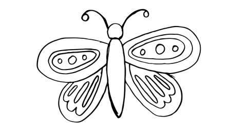 Beautiful colorful butterfly isolated on a white background. Hand drawing sketchのイラスト素材