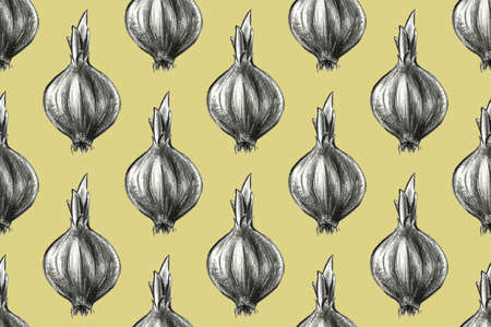 Hand drawn pencil illustration of onion. Seamless pattern of healthy farm food. Organic vegetable grown in the garden.の写真素材