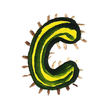 Hand drawn C letter. Illustration of cactus letters isolated on white background. Exotic plant with spikes.の写真素材