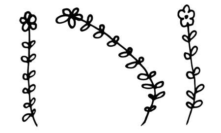 Hand drawn doodle flower illustration. Simple floral element isolated on white backgroundのイラスト素材