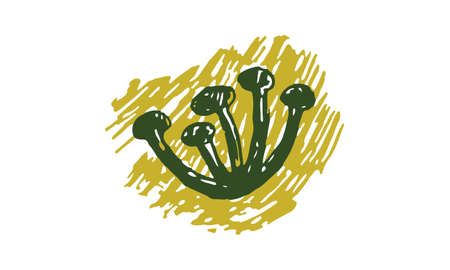 Hand drawn vector illustration of herbs. Doodle floral element. Spring and summer symbol. Contour otline drawing of simple black twigs and flowersのイラスト素材