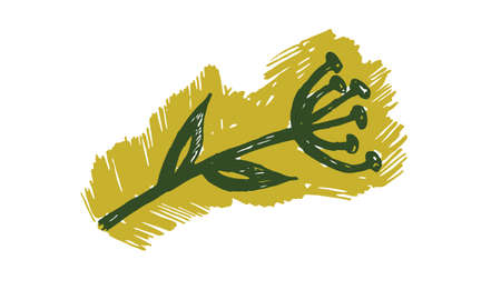 Hand drawn vector illustration of herbs. Doodle floral element. Spring and summer symbol. Contour otline drawing of simple black twigs and flowersのイラスト素材