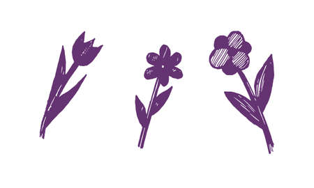 Hand drawn vector illustration of herbs. Doodle floral element. Spring and summer symbol. Contour otline drawing of simple black twigs and flowersのイラスト素材