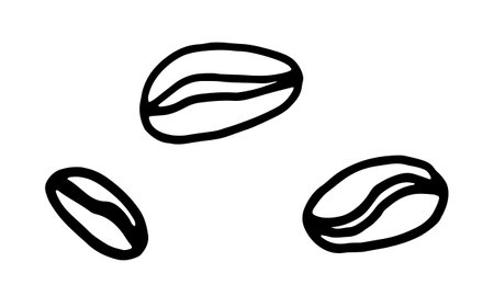 Doodle coffee bean illustration. Simple outline drawing. Morning drink for breakfast. Hand drawn design elementのイラスト素材