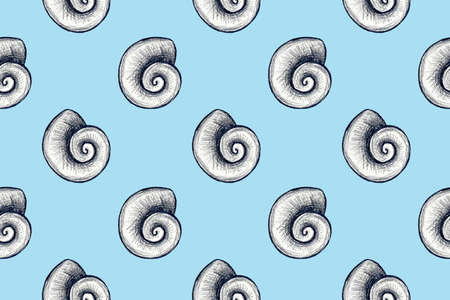 Seamless pattern with hand drawn pencil illustration of seashellsの写真素材