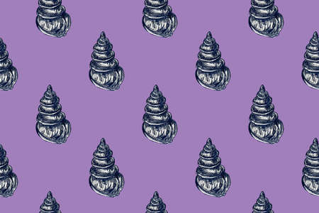 Seamless pattern with hand drawn pencil illustration of seashellsの写真素材