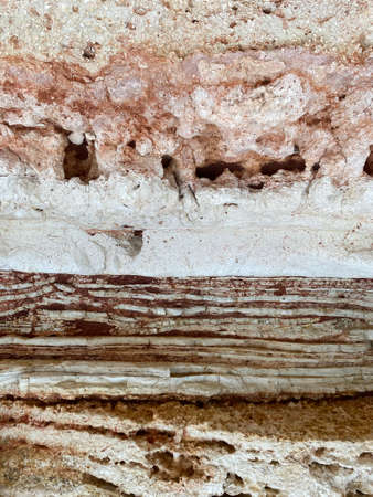 The texture of salt. Texture. Background. Copy space for text.の写真素材